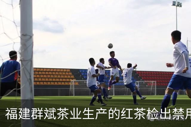 福建群斌茶业生产的红茶检出禁用多年的农药成分